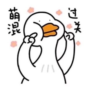 Meet your Posher, Jane